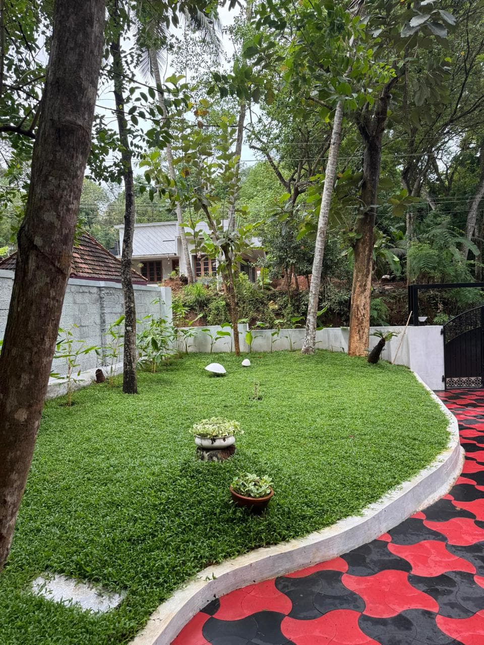 Niharika image 4
